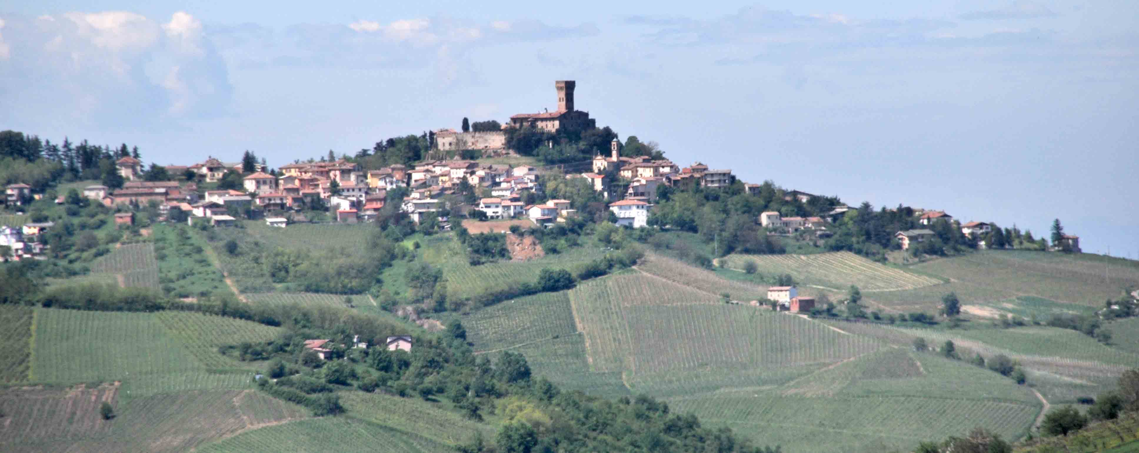Cicognola