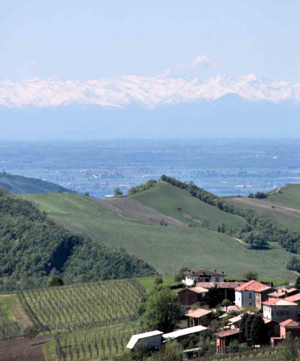 View on the Alps