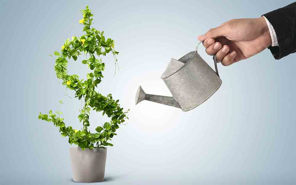 Palnt as dollar sign