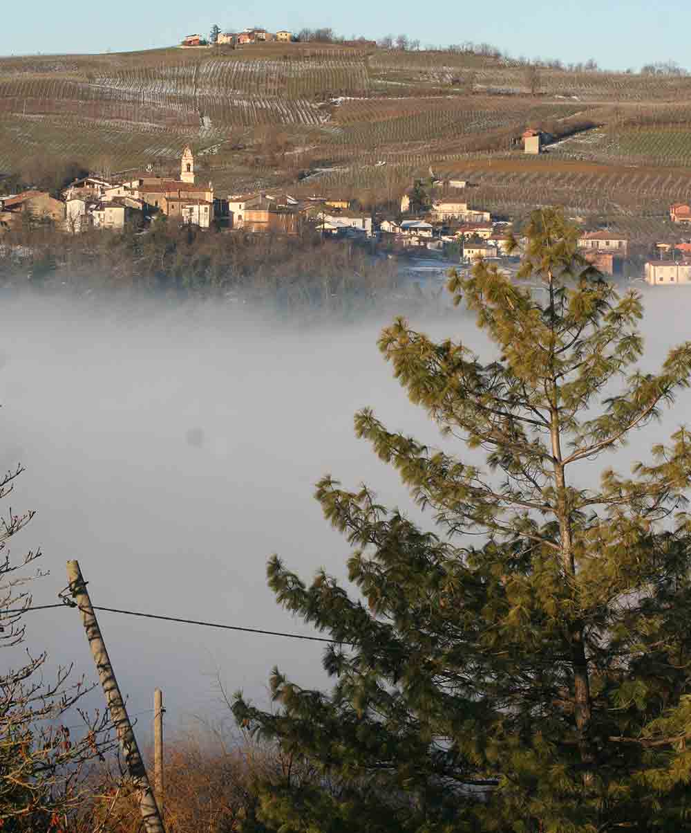 View on Lirio