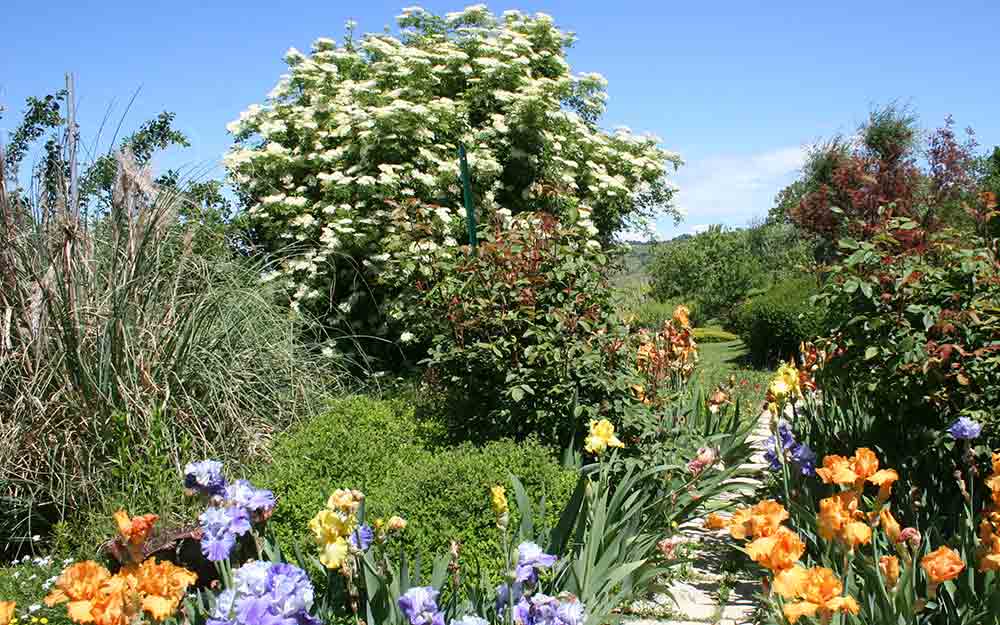 Giardino